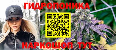 индика Нягань