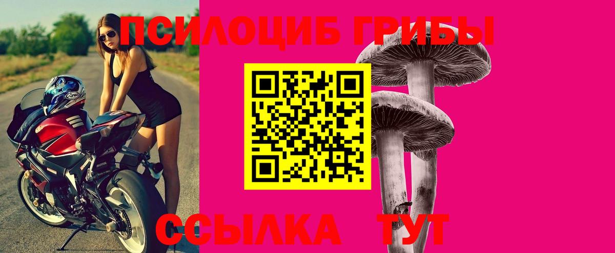 Галлюциногенные грибы мицелий Сухой Лог