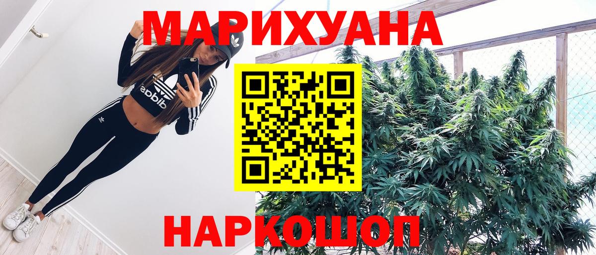 Каннабис планчик Сухой Лог